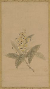 En gren av Medlars, Edo -perioden, 1600 -talet. av Kanō Tan’yū