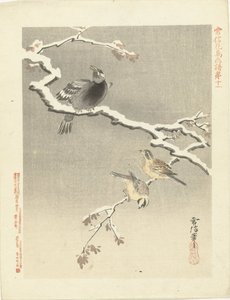 Tre fåglar på snöig gren Blom- och fågelskisser av Kano Tsunenobu (serietitel) Kano Tsunenobu kacho gafu (serietitel på objekt)