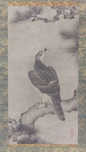 Hawk on a Pine Shoo zu, 1500-talet. av Kano Yukinobu