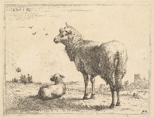 Ett moget får i trekvartsvy står och tittar till vänster, bredvid det ligger ett lamm..., ca. 1655.