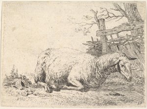 Ett får som ligger med benen vikta under kroppen bredvid ett trästaket, hon..., ca. 1655.