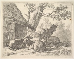 Fyra får, ett får står bland tre andra liggande på marken bredvid ett skjul med..., 1658. av Karel Du Jardin