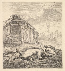 Tre grisar liggande på sidan, en svinstia och tråg bortom, 1652.