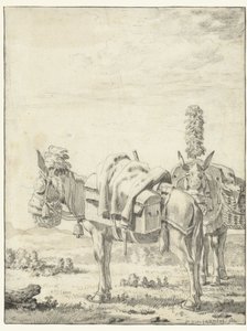 Två mulor av Karel Du Jardin