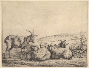 Två getter och tre får, 1655. av Karel Du Jardin