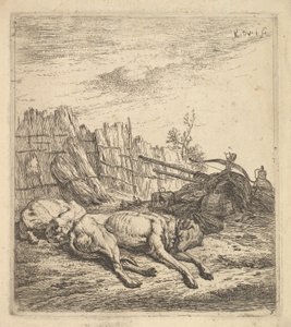 Två hundar som sover på marken, en plog, jordbruksutrustning, halmbuntar och en ..., ca. 1641-78. av Karel Du Jardin