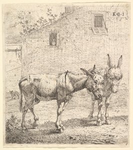Två åsnor som står på en gräsbevuxen gård, en i profilvy åt höger och en annan bakom..., 1652.