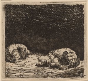 Hund och katt av Karel Dujardin