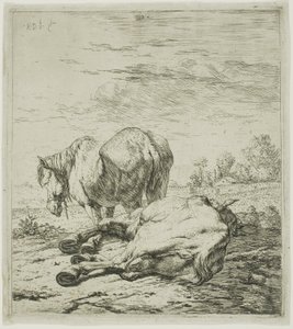 Två hästar av Karel Dujardin