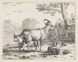 Fyra getter av Karel Dujardin