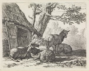 Fyra får av Karel Dujardin