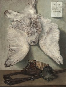 Snöig uggla av Karel Purkyne