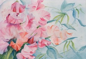 Lathyrus Odoratus, sötärta (horisontell) av Karen Armitage