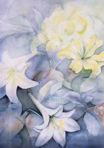Lilium, Hearts Desire och Imperiale av Karen Armitage