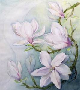 Magnolior (wc) av Karen Armitage