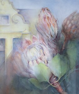 Protea på Stellenbosch, 1992 (wc) av Karen Armitage