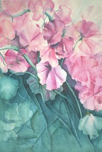 Sweet Peas, Pink Pride (vertikal) av Karen Armitage