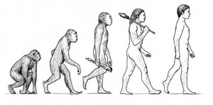 Människans evolution