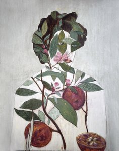 Botanisk illustration med apelsiner av Karenina Fabrizzi