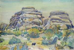 Landskapet i Joshua Tree