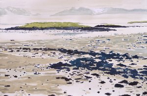 En lugn tidvattenstrand