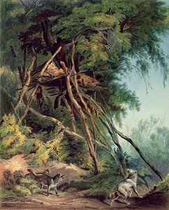 Gravar av Assiniboin-indianer på träd, plansch 30 från volym 2 av `Travels in the Interior of North America