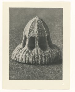 Växtstudier Arketyper av konst: fotografiska bilder av växter (serietitel) av Karl Blossfeldt