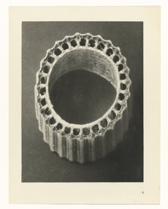 Växtstudier Arketyper av konst: fotografiska bilder av växter (serietitel) av Karl Blossfeldt