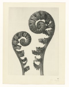 planera studien Archetypes of Art (serietitel)