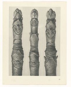 planera studien Archetypes of Art (serietitel) av Karl Blossfeldt