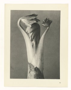 planera studie Archetypes of Art (serietitel)