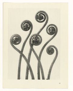 planera studien Archetypes of Art (serietitel)