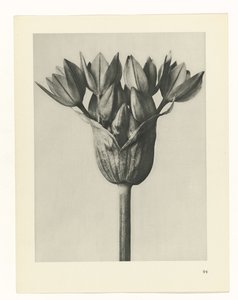 planera studien Archetypes of Art (serietitel)