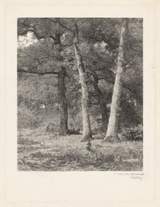 En skogsröjning av Karl Bodmer