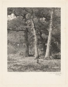 En glänta i skogen av Karl Bodmer