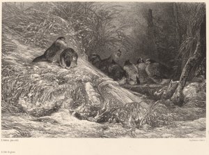 Skydd från frosten av Karl Bodmer