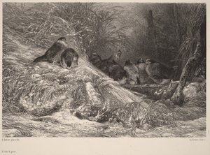 I skydd mot frost av Karl Bodmer
