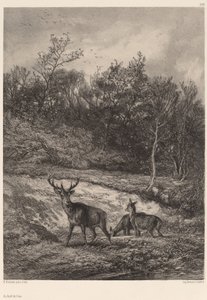 Vid vattenbrynet. av Karl Bodmer