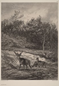 Vid vattnet av Karl Bodmer