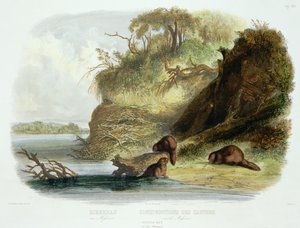 Beaver Hut on the Missouri, tavla 17 från volym 1 av `Travels in the Interior of North America