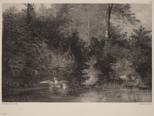 Ankor av Karl Bodmer