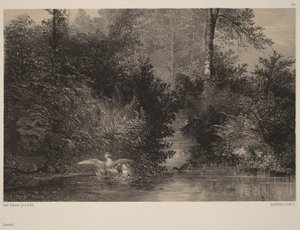 Änder av Karl Bodmer