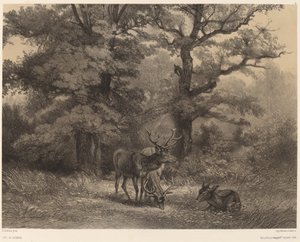 Rådjur vid Gagnage. av Karl Bodmer