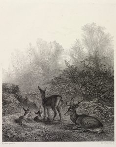 Rådjur i vila av Karl Bodmer