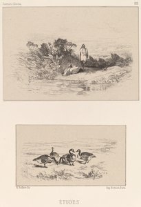 Studier av Karl Bodmer