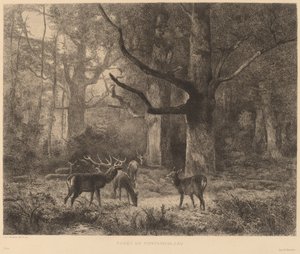 Fontainebleau-skogen av Karl Bodmer