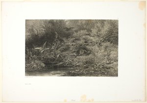 Fox on the Prowl av Karl Bodmer