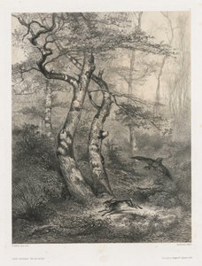 Hare förföljd av en gåhök av Karl Bodmer