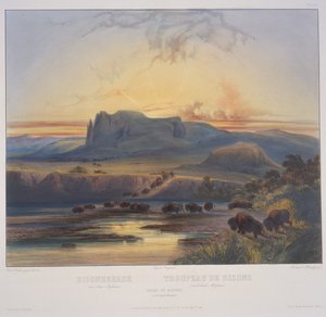 Flock av bisoner på Upper Missouri av Karl Bodmer