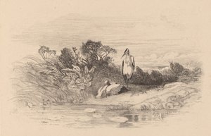 Häger. av Karl Bodmer